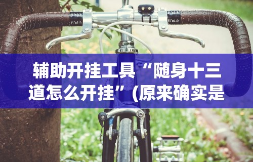 辅助开挂工具“随身十三道怎么开挂	”(原来确实是有挂)