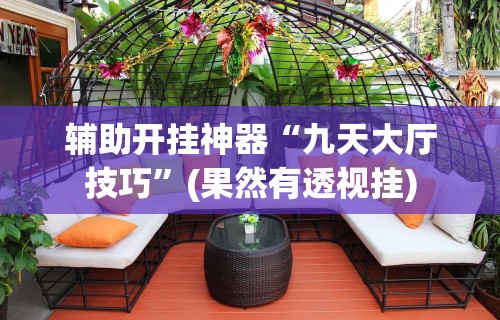 辅助开挂神器“九天大厅技巧	”(果然有透视挂)
