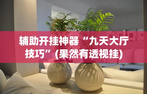 辅助开挂神器“九天大厅技巧”(果然有透视挂)