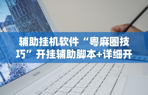 辅助挂机软件“粤麻圈技巧”开挂辅助脚本+详细开挂