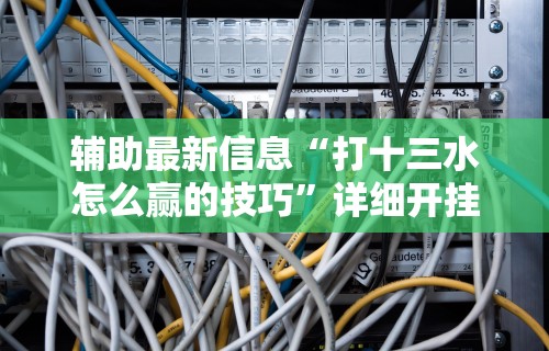 辅助最新信息“打十三水怎么赢的技巧”详细开挂安装教程