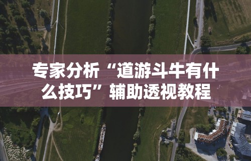 专家分析“道游斗牛有什么技巧”辅助透视教程