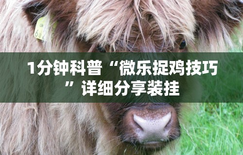 1分钟科普“微乐捉鸡技巧	”详细分享装挂