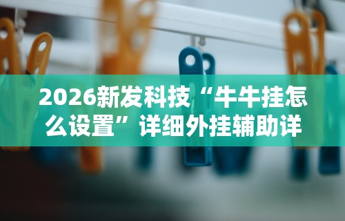 2026新发科技“牛牛挂怎么设置	”详细外挂辅助详细教程