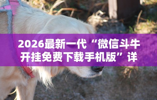 2026最新一代“微信斗牛开挂免费下载手机版	”详细分享装挂步骤
