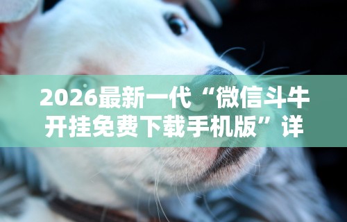 2026最新一代“微信斗牛开挂免费下载手机版”详细分享装挂步骤