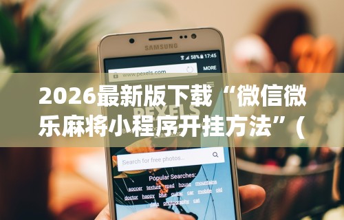 2026最新版下载“微信微乐麻将小程序开挂方法	”(原来确实是有插件)