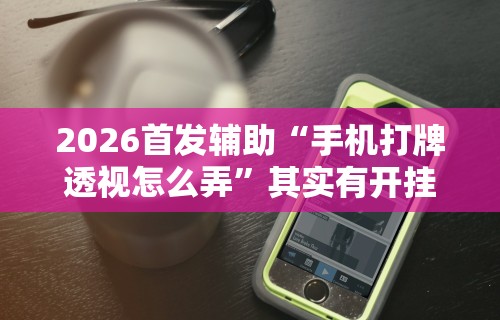 2026首发辅助“手机打牌透视怎么弄	”其实有开挂插件!