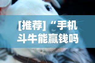 [推荐]“手机斗牛能赢钱吗”(其实是有挂)