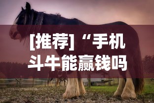 [推荐]“手机斗牛能赢钱吗”(其实是有挂)