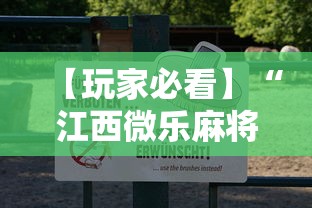 【玩家必看】“江西微乐麻将有挂吗	”详细分享装挂步骤教程