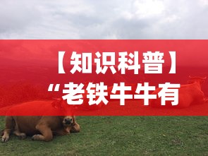 【知识科普】“老铁牛牛有挂吗”开挂(透视)辅助教程