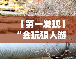 【第一发现】“会玩狼人游戏透视挂	”通用版下载教程