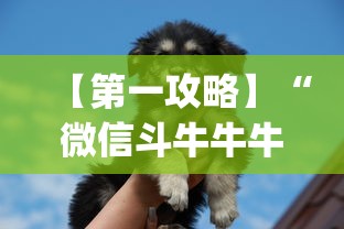 【第一攻略】“微信斗牛牛牛群有挂吗”(详细透视教程)-知乎