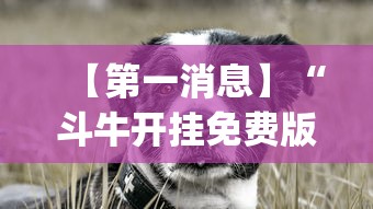 【第一消息】“斗牛开挂免费版最新版本更新内容”(助赢详细开挂教程)
