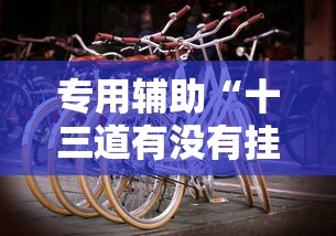 专用辅助“十三道有没有挂车的	”详细辅助教程分享