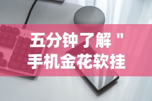 五分钟了解＂手机金花软挂神器”(最新透视辅助上线)