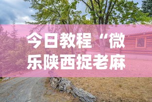 今日教程“微乐陕西捉老麻子技巧	”(太坑了果然有挂)