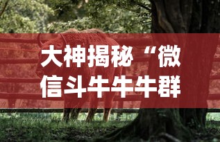 大神揭秘“微信斗牛牛牛群有挂吗(透视)	”开挂(透视)辅助教程