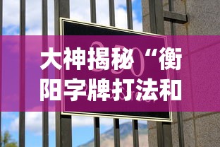 大神揭秘“衡阳字牌打法和技巧(详细真的有挂)-知乎 大神揭秘“衡阳字牌打法和技巧(详细真的有挂)-知乎