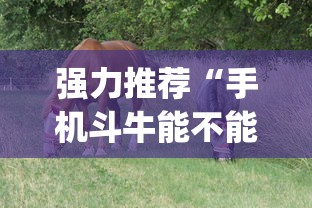 强力推荐“手机斗牛能不能开挂游戏”(原来确实是有挂)